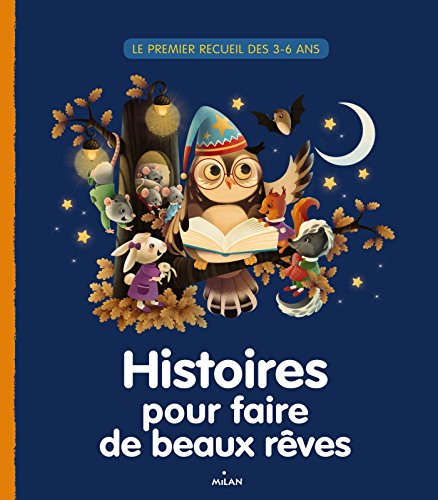 Stock image for HISTOIRES POUR FAIRE DE BEAUX REVES for sale by medimops
