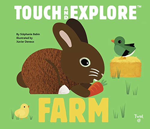 Beispielbild fr Touch and Explore: Farm (Touch and Explore, 2) zum Verkauf von Wonder Book