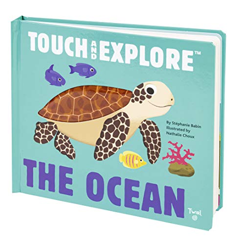 Beispielbild fr The Ocean (Touch and Explore) (Touch and Explore, 1) zum Verkauf von Wonder Book