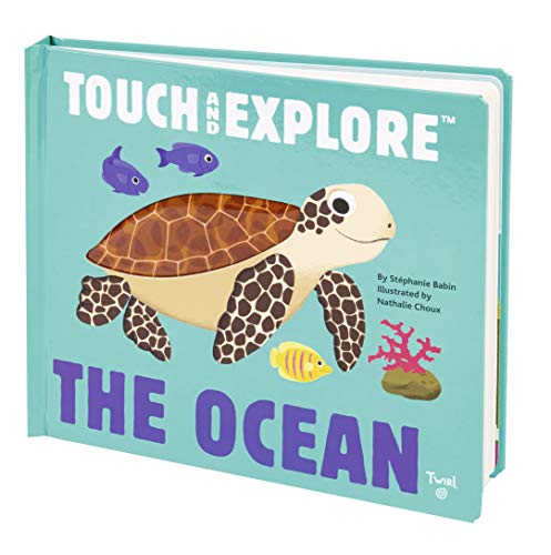 Stock image for The Ocean (Touch and Explore) (Touch and Explore (1)) for sale by SecondSale