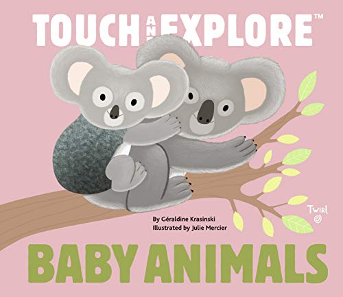 9782745978936: Baby Animals: Touch and Explore: 1