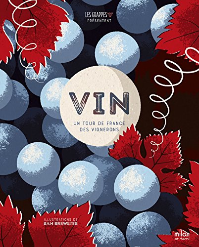 9782745982056: Vin: Une slection des vignobles nouvelle gnration: Un tour de France des vignerons (Milan et demi)