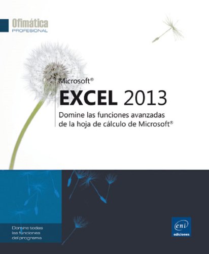 Beispielbild fr EXCEL 2013-DOMINE FUNCIONES AVANZADAS DE HOJA DE CALCULO MIC zum Verkauf von medimops