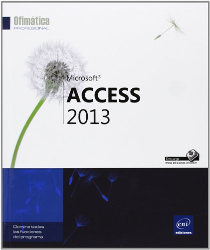 9782746086395: Access 2013