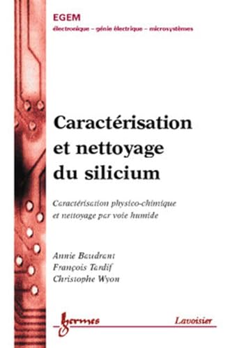 Stock image for Caractrisation et nettoyage du silicium : caractrisation physico-chimique et nettoyage par voie humide for sale by Gallix