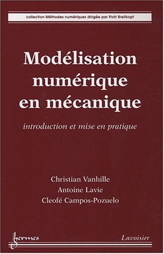 Imagen de archivo de Modlisation numrique en mcanique : Introduction et mise en pratique a la venta por Ammareal
