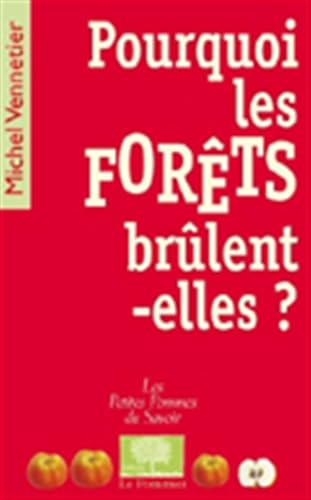 Imagen de archivo de Pourquoi les forts brlent-elles ? a la venta por Ammareal