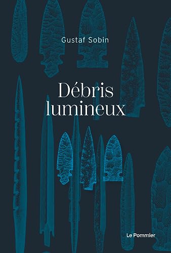 9782746527140: Dbris lumineux