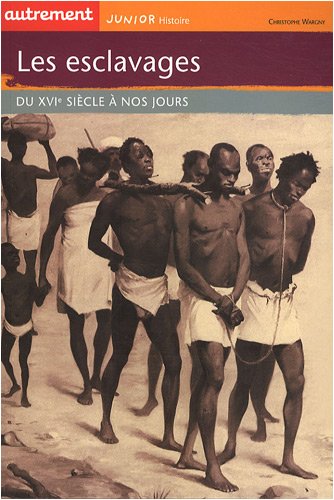 Beispielbild fr Les esclaves : Du XVIe sicle  nos jours zum Verkauf von Ammareal