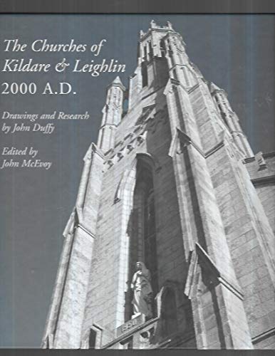 Beispielbild fr The Churches of Kildare & Leighlin 2000 A.D. zum Verkauf von Kennys Bookshop and Art Galleries Ltd.