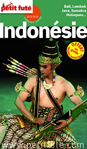 Beispielbild fr Petit Fut Indonsie zum Verkauf von Ammareal