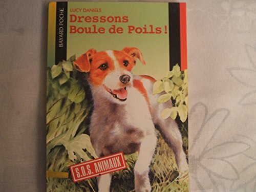 9782747003445: Dressons Boule de Poils! (Petit Compagnons: S.O.S. Animaux) (French Edition)