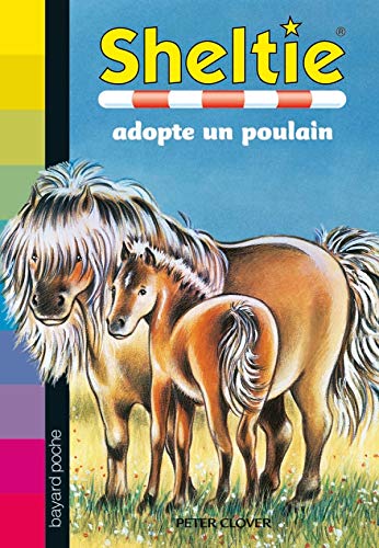 9782747018319: Sheltie, Tome 22 (French Edition)