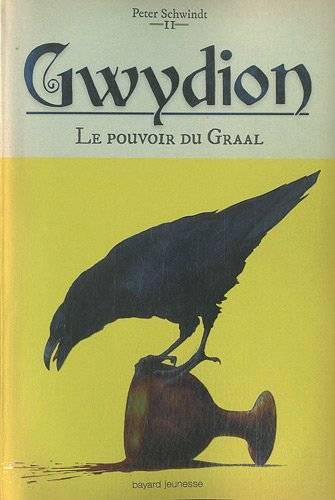 Stock image for Pouvoir du graal (le) - gwydion t2 for sale by Ammareal