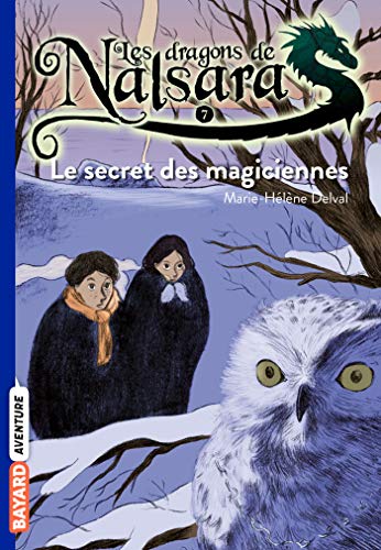 Beispielbild fr Les dragons de Nalsara: Le secret des magiciennes zum Verkauf von WorldofBooks