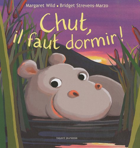 Stock image for Chut, Il Faut Dormir ! for sale by RECYCLIVRE