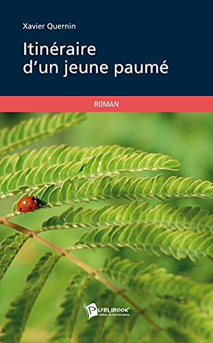 Beispielbild fr Itinraire d'un jeune paum (French Edition) zum Verkauf von pompon