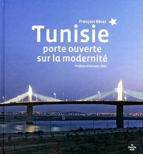 Beispielbild fr La Tunisie zum Verkauf von Ammareal