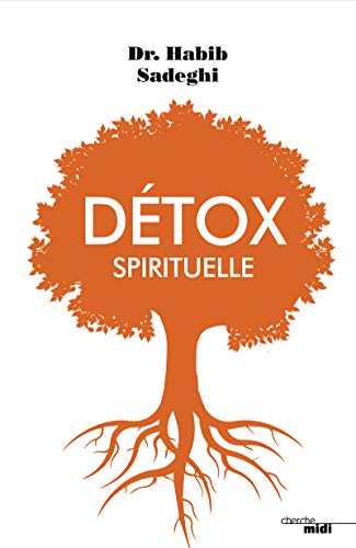 Stock image for Detox spirituelle for sale by Librairie Th  la page