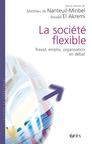 Imagen de archivo de La socit flexible : Travail, emploi, organisation en dbat a la venta por medimops