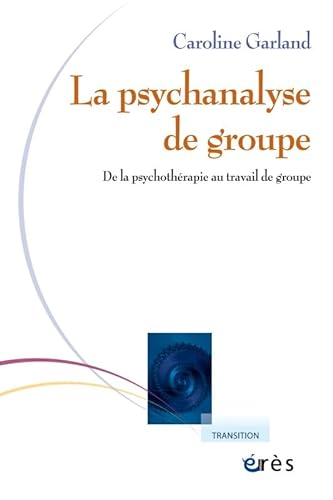 9782749246895: Psychanalyse de groupe: De la psychothrapie au travail de groupe