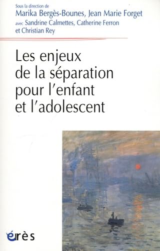 Stock image for Les enjeux de la separation pour l?enfant et l?adolescent for sale by Gallix