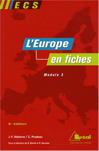 Stock image for L'Europe en fiches for sale by Ammareal