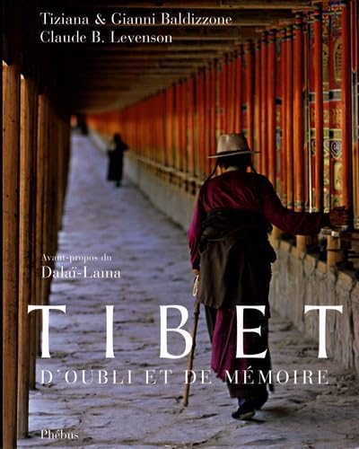 Stock image for Tibet : D'oubli et de mmoire for sale by Ammareal