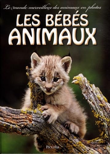 Beispielbild fr Les bbs animaux zum Verkauf von Ammareal