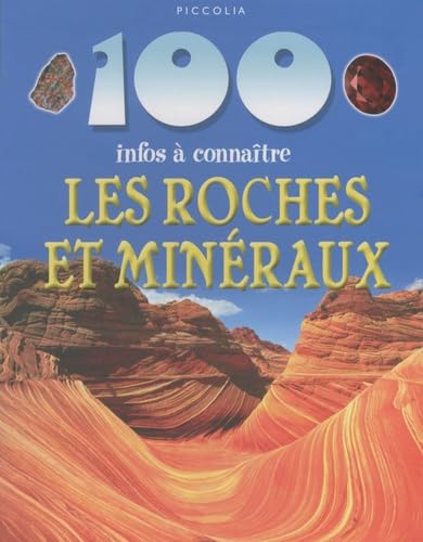 Imagen de archivo de Les roches et min raux (100 INFOS) a la venta por ThriftBooks-Dallas