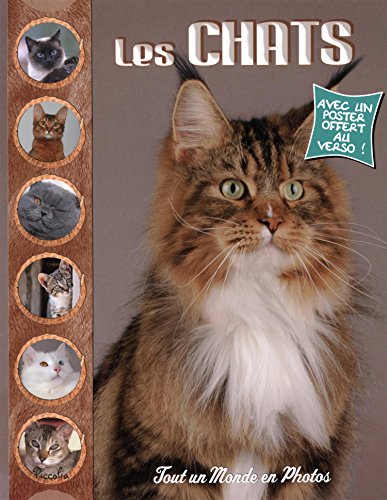 Stock image for TOUT UN MONDE EN PHOTOS/LES CHATS for sale by WorldofBooks