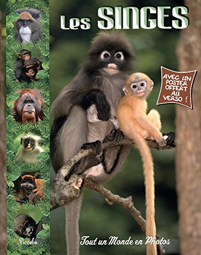 Stock image for Les singes for sale by medimops