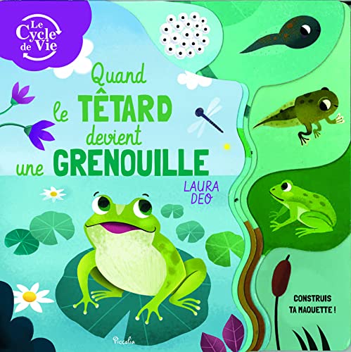 Stock image for Quand le t?tard devient une grenouille: Construis ta maquette ! for sale by Reuseabook