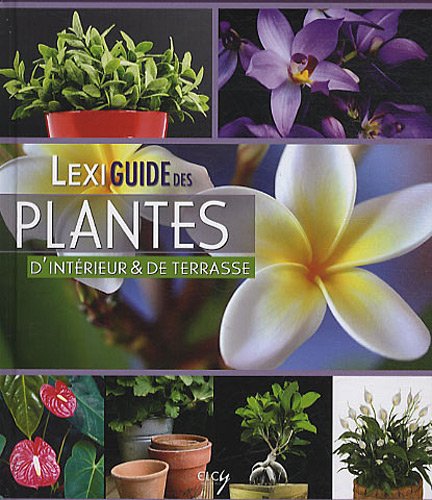 Stock image for Lexiguide des plantes d'intrieur et de balcon for sale by Ammareal