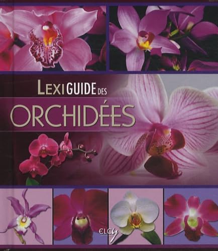 Imagen de archivo de Lexiguide des orchides a la venta por Ammareal