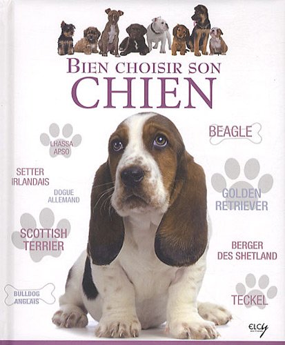 Stock image for Bien choisir son chien : Guide des animaux for sale by medimops