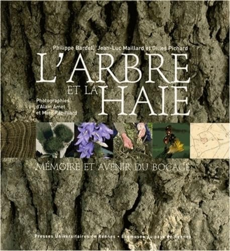 Beispielbild fr L'arbre et la haie : Mmoire et avenir du bocage (1DVD) zum Verkauf von Ammareal