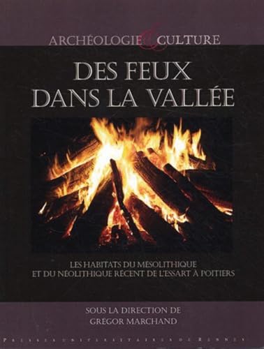 Beispielbild fr Des feux dans la valle : Les habitats du Msolithique et du Nolithique rcent  l'Essart  Poitiers (Vienne) zum Verkauf von Revaluation Books