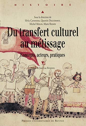Beispielbild fr Du transfert culturel au mtissage : Concepts, acteurs, pratiques zum Verkauf von Revaluation Books