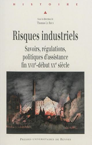 Beispielbild fr RISQUES INDUSTRIELS zum Verkauf von Ammareal