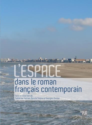 Stock image for L'espace dans le roman français contemporain for sale by WorldofBooks