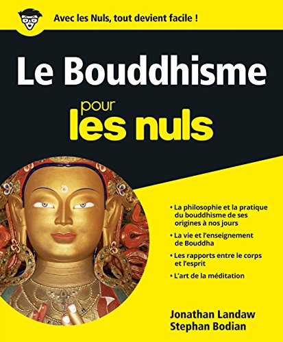 Beispielbild fr Le Bouddhisme pour les Nuls zum Verkauf von medimops