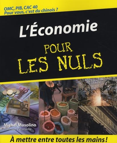 Stock image for L'Economie Pour les nuls for sale by ThriftBooks-Atlanta