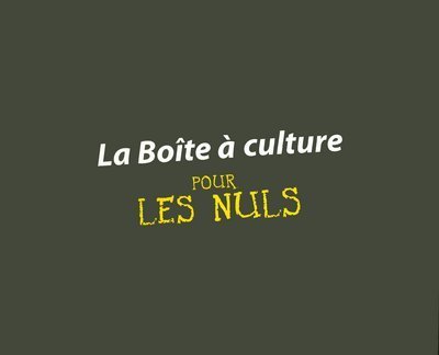 Beispielbild fr Bote  culture pour les Nuls(Ancien prix diteur : 29,90 Euros) zum Verkauf von medimops