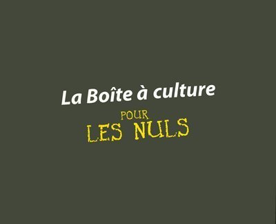 Stock image for La Bote  Culture for sale by RECYCLIVRE