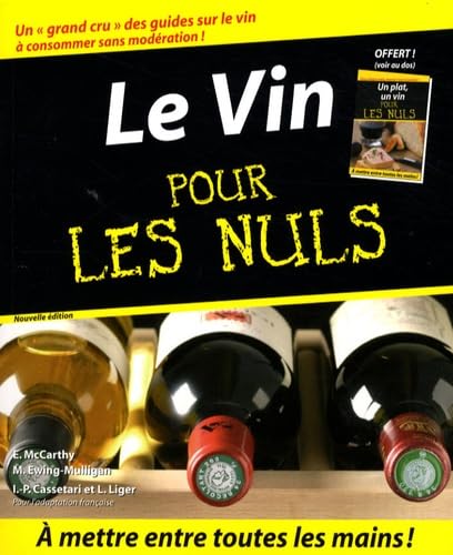 Beispielbild fr Le Vin pour les Nuls zum Verkauf von Ammareal