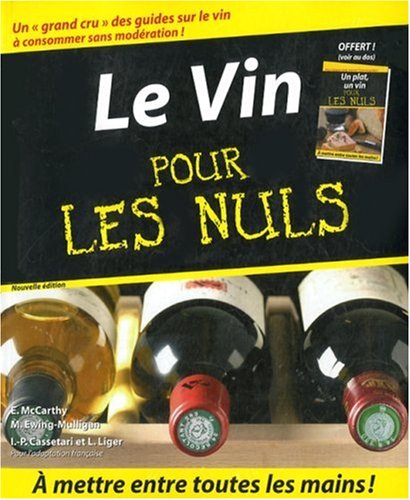 Stock image for Le Vin pour les Nuls for sale by Ammareal