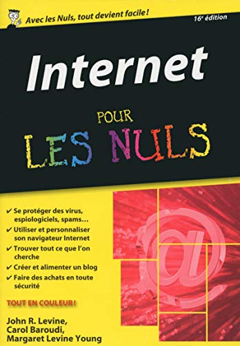 Beispielbild fr Internet pour les Nuls version poche 16e dition zum Verkauf von Ammareal