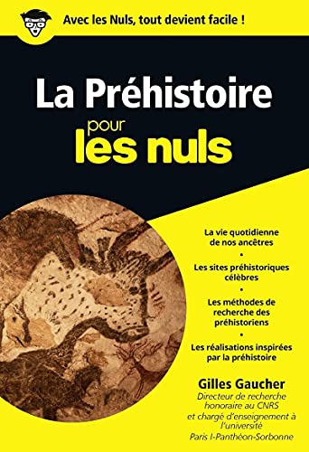 Stock image for LA PREHISTOIRE POCHE POUR LES NULS for sale by Librairie La Canopee. Inc.