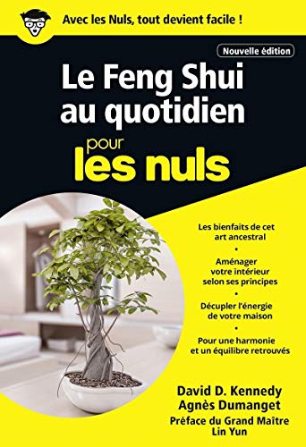 Beispielbild fr Le Feng Shui Au Quotidien Pour Les Nuls zum Verkauf von RECYCLIVRE